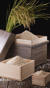 Rice box measuring cup 60