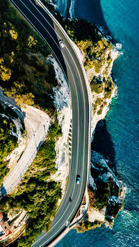 Forest road-04