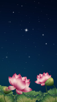 花好月圆