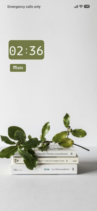 Minimal Books