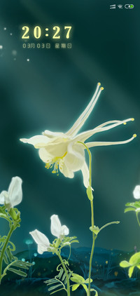 沉睡的花朵