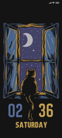 Night Cat