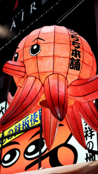 Anime (14)