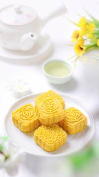 Delicious snow skin moon cake for mid autumn festival