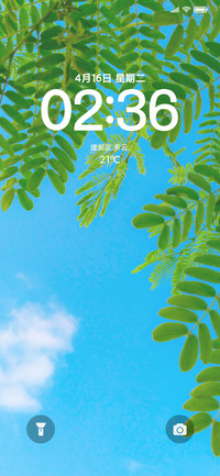 清新蓝天绿叶简约