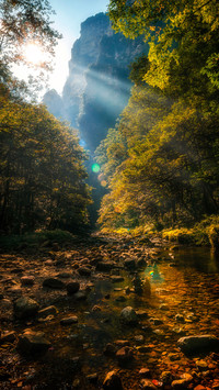 Jinbian stream in the forest park