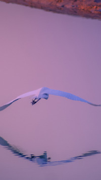 Minimalism