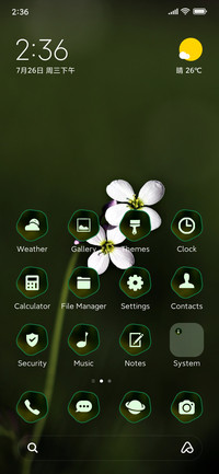 nature petals