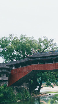 现实版的“廊桥遗梦”