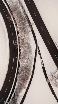 Winter Snowfield