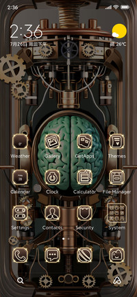 Brain of Wis