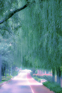 green.jpg