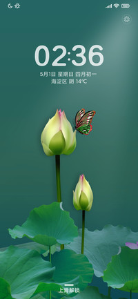 夏天荷花开