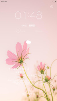 那些花儿（全图标+自由桌面+自定义锁屏+密码锁屏+锁屏音乐）