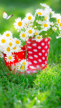 Spring is here