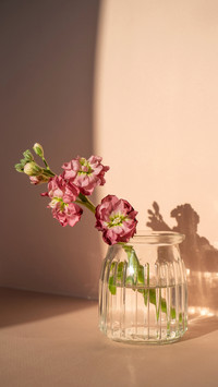 Beautiful abstract background with flowers and vases