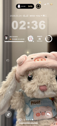 OS17小兔漫游宇宙