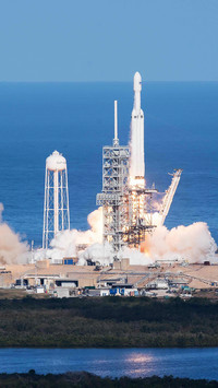 Falcon flies for nine days
