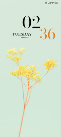 Golden Leaves