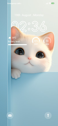 3D cat