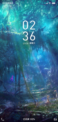 森林幻境