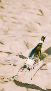 Party by the sea, drinking champagne in the sunset