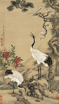 秀骨青松不老