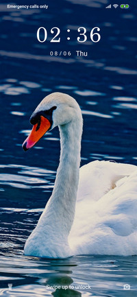 White Swan_3MDS