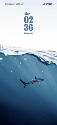 Shark