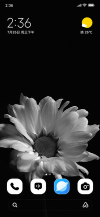 Silent Petal