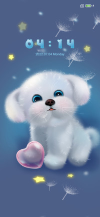 My teddy dog