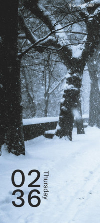Frozen Snowing