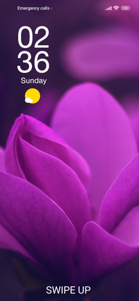 Violet Vista