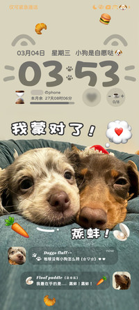 ins腊肠狗蒸蚌