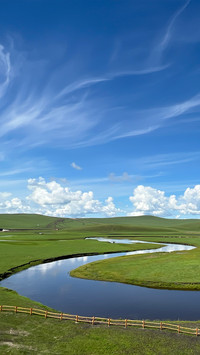 The grassland under the blue sky and white clouds