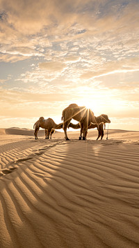 Magnificent Tengger Desert 0