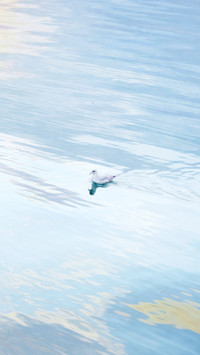 Beautiful water surface