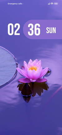 Lotus