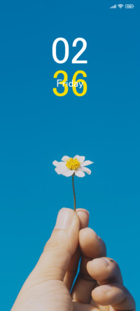 Blooming Flowers