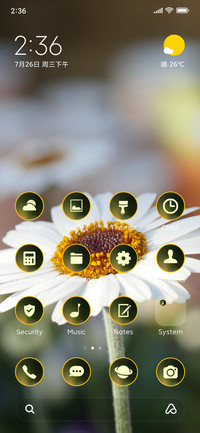 flowers daisy