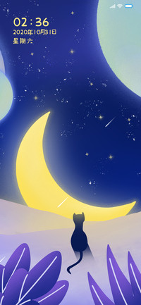 动态仰望宇宙
