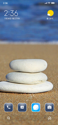 Beach Stone