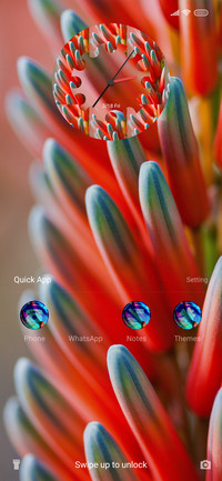 Plant Pex