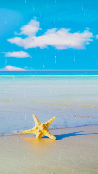 夏日海滩