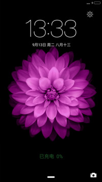 WP花