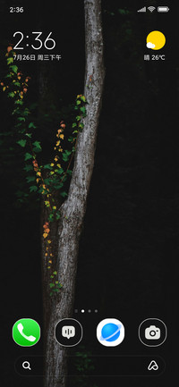 Tree Silhouette