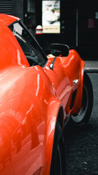 Muscle (6)