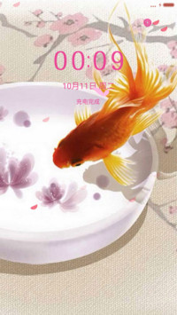 【动态花雨特效】金鱼戏梅