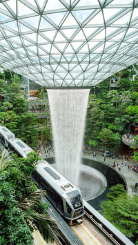 Singapore forest airport