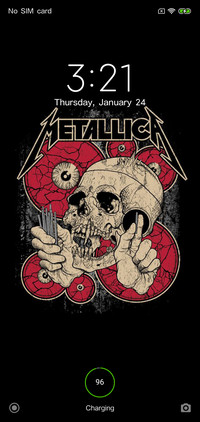 Metallica V10